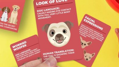 How To Speak Dog Cards