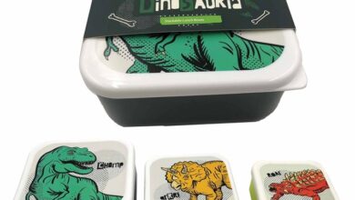 Dinosaur Set of 3 Lunch Boxes