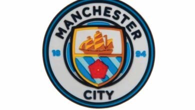 Manchester City FC 3D Crest Magnet