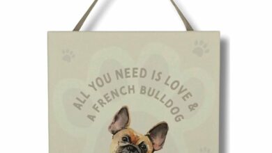 All You Need is Love & French Bulldog - Hanging Plaque