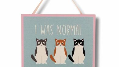 I was Normal 3 Cats Ago - Hanging Plaque