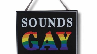 Sounds Gay Im In - Hanging Plaque