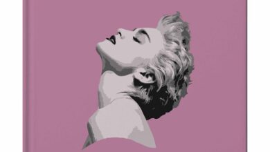 The Little Guide To Madonna