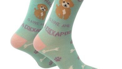 All I Need is Love and a Cockapoo Socks - Size 4 - 8
