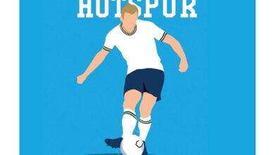 Random History of Tottenham Hotspur FC Book