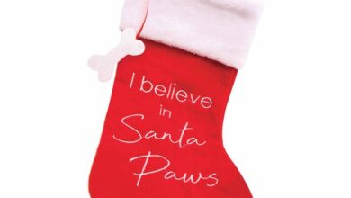 Santa Paws