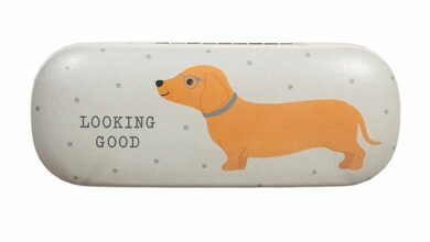 Dachshund Looking Good Glasses Case