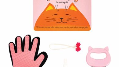 Calm Kitty Cat Massage Kit