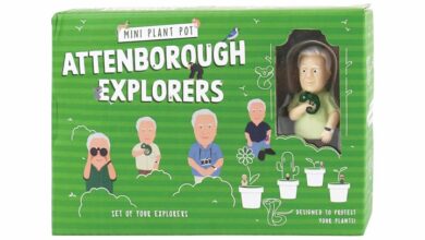 Mini Plant Pot Attenborough Explorers Set