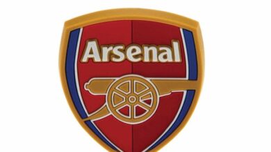 Arsenal FC 3D Crest Magnet