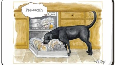 Alison's Animals Pre Wash Dog Magnet