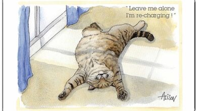 Alison's Animals Recharging Cat Magnet