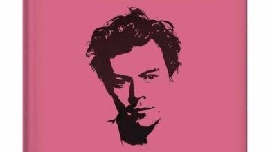 Little Guide To Harry Styles