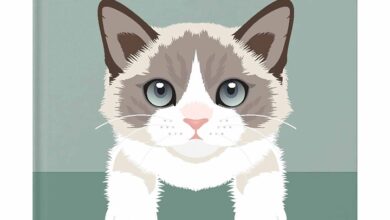 Little Book Of Cats