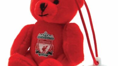 Liverpool FC Car Back Seat Fan Bear