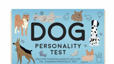 Dog Personality Test