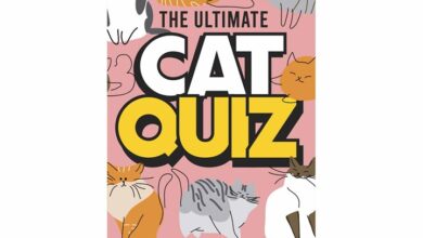 Cat Quiz