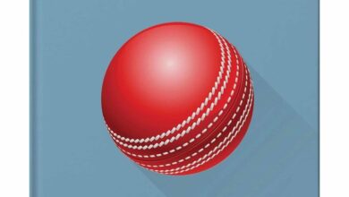 The Little Book of Cricket