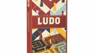 Wooden Ludo Game