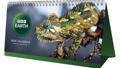 BBC Earth Perpetual Easel Desk Calendar