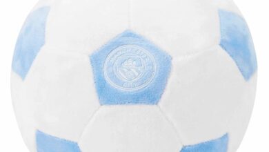 Manchester City FC Football Plush