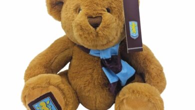 Aston Villa FC Classic Bear