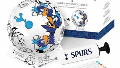Tottenham Hotspur FC Colour in Mini Football