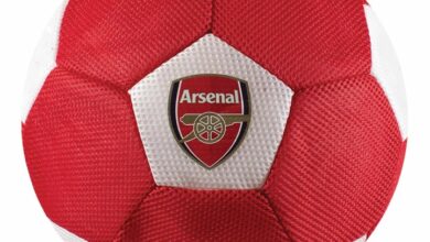 Arsenal FC Giant Mesh Ball