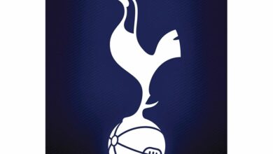 Tottenham Hotspur FC 3D Effect Birthday Card