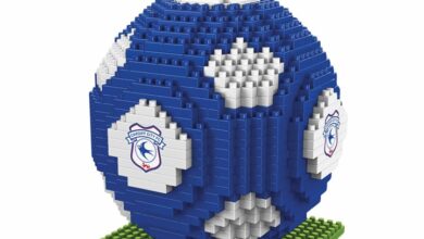 Cardiff City FC BRXLZ Football