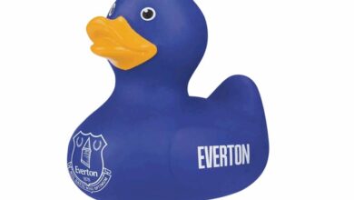 Everton FC Vinyl Duck