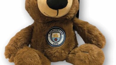 Manchester City FC Brown Bear Plush