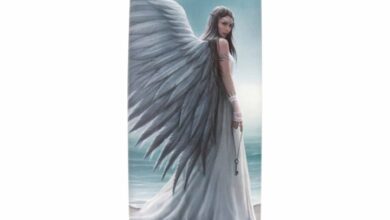 Anne Stokes