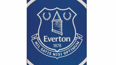 Everton FC Pulse Towel