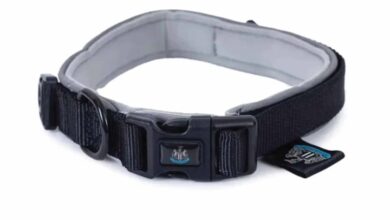 Newcastle United FC Reflective Dog Collar