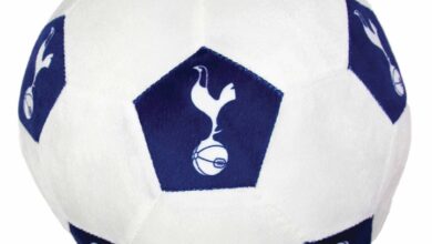 Tottenham Hotspur FC 3D Football Cushion