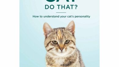 Why Does My Cat Do That? Book