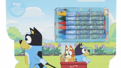 Bluey Travel Activity Set
