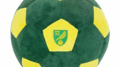 Norwich City FC Football Plush