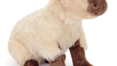 Capybara Plush