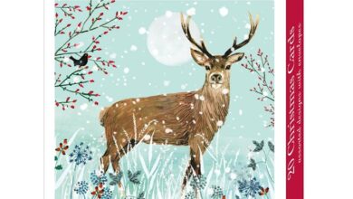Winter Stag