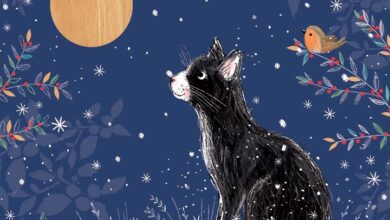 Festive Cat Moon Gazing