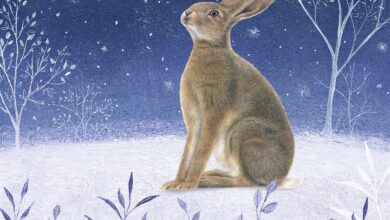 Festive Midnight Hare