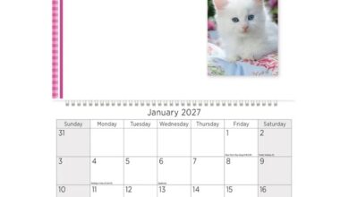 Kittens Memo Calendar & Shopping Pad 2027