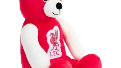 Liverpool FC Beanie Bear