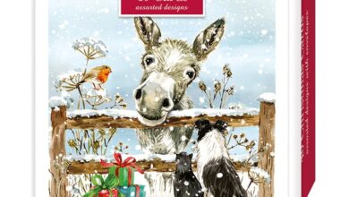 Donkey & Friends