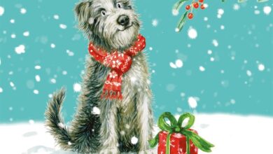 Scruffy Pup