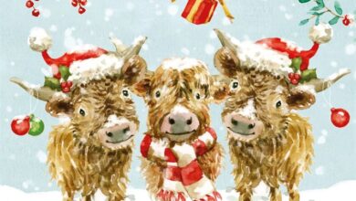 Highland Friends