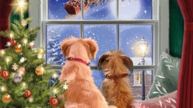 Watching Santa