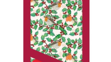 Holly Berry Robins Christmas Wrap & Tags